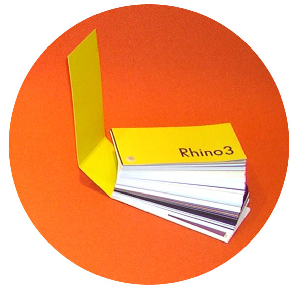 Rhino3