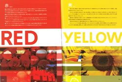 COLOR DESIGN
