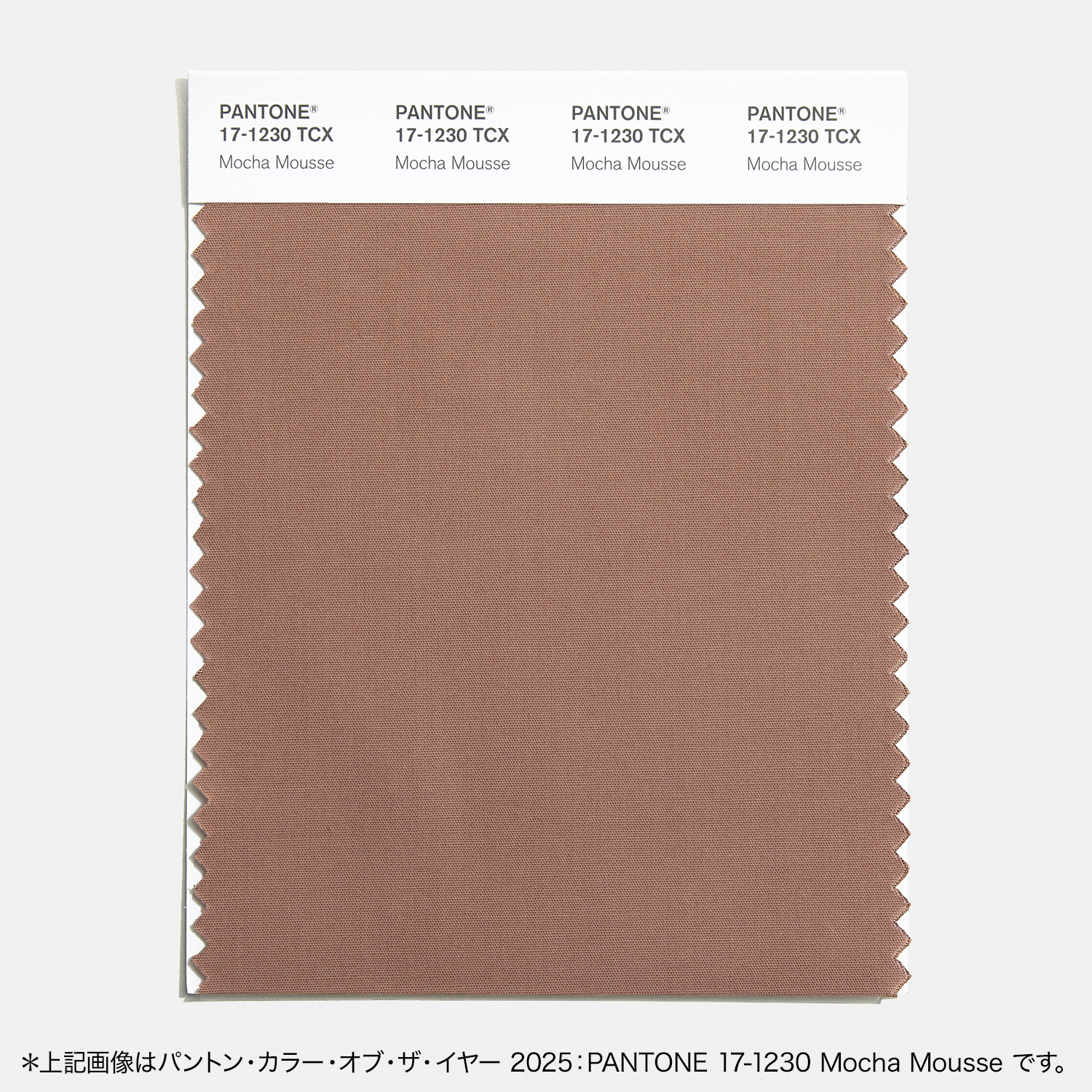 通販 オンラインショップ PANTONE パントン（パントーン）色見本帳 ファッション・インテリア系 テキスタイルカラー